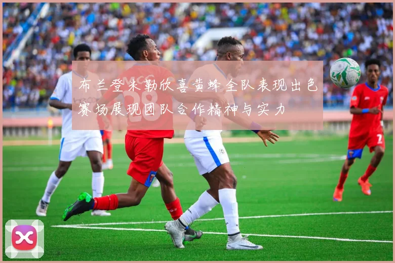 布兰登米勒欣喜黄蜂全队表现出色赛场展现团队合作精神与实力